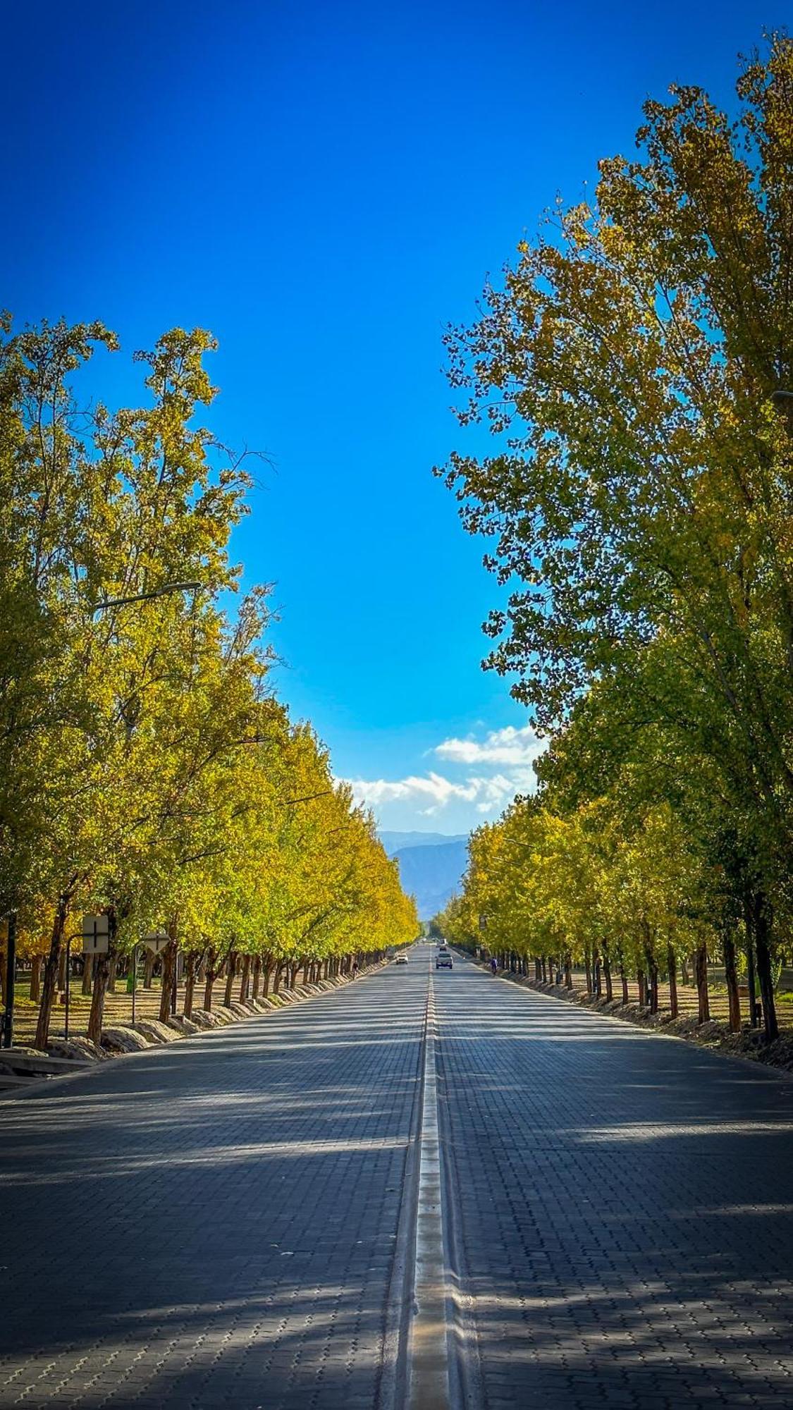 El Oasis Lägenhet Mendoza Exteriör bild